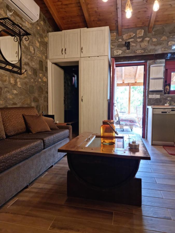 House With Big Garden And Barbeque In Nature Vourgareli 外观 照片