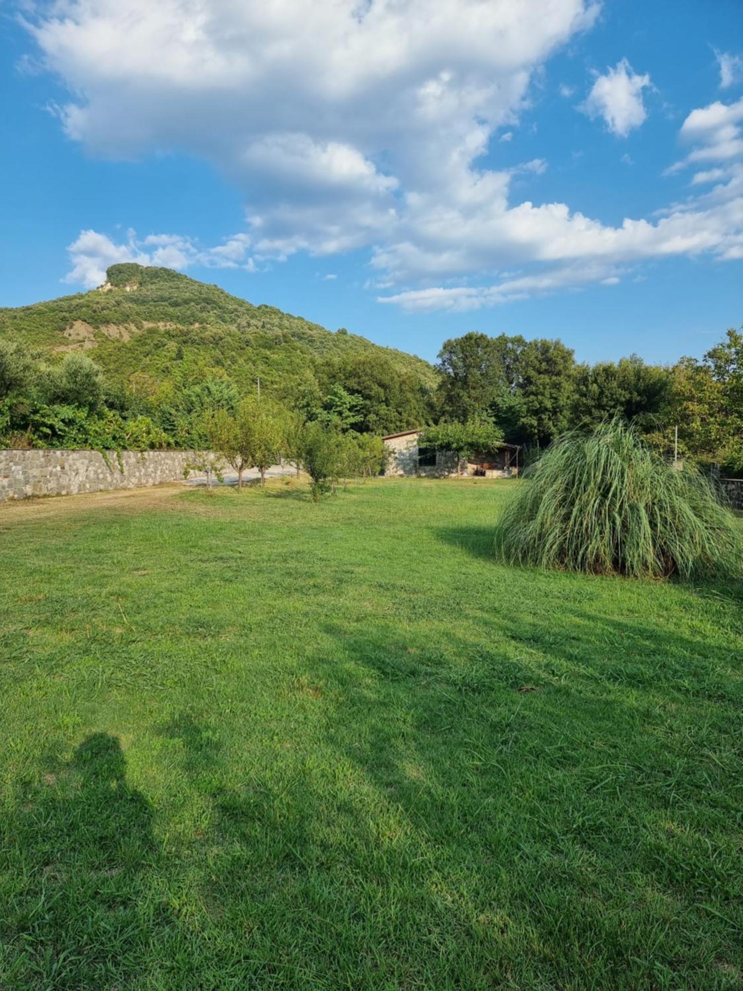 House With Big Garden And Barbeque In Nature Vourgareli 外观 照片