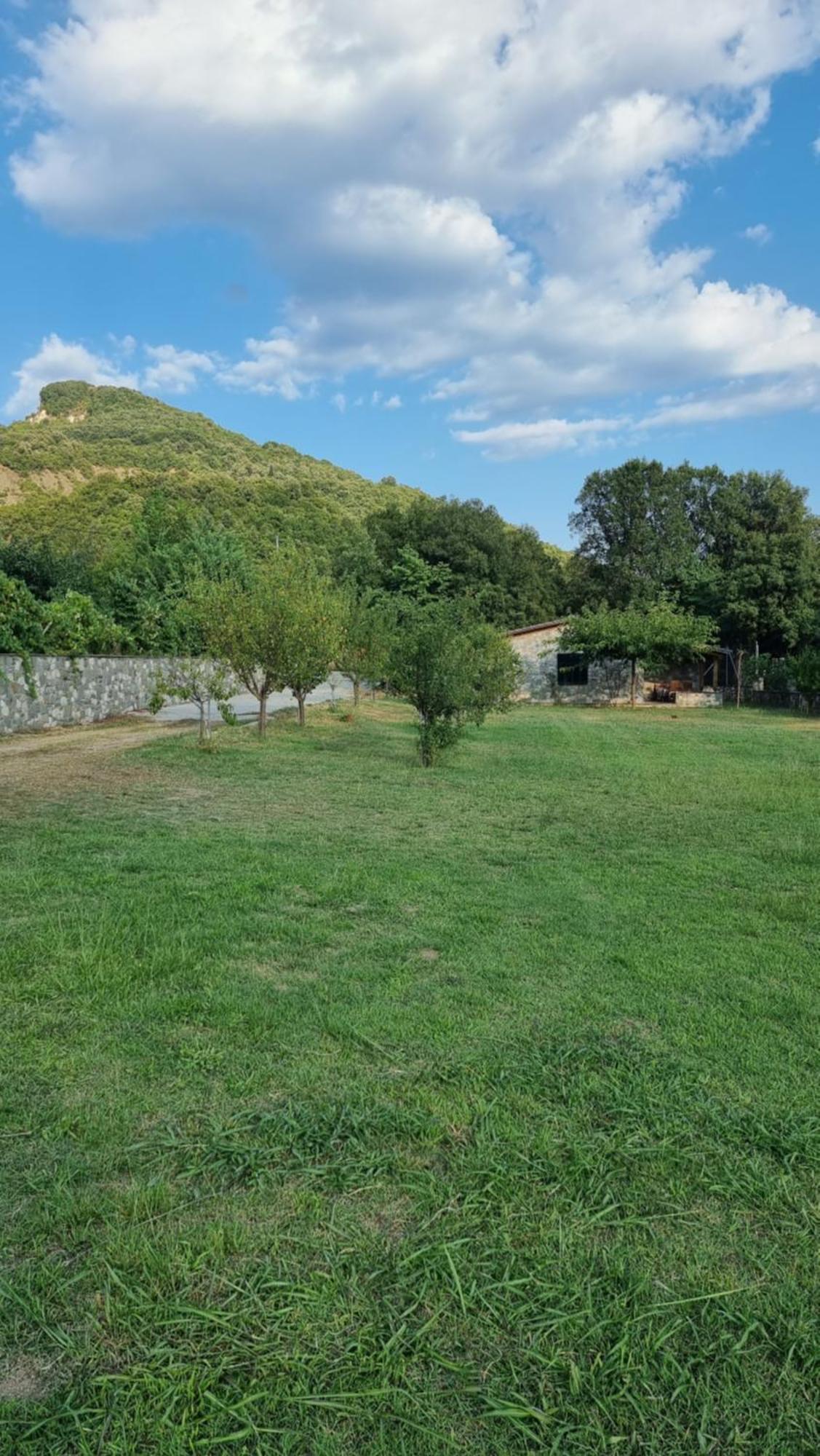 House With Big Garden And Barbeque In Nature Vourgareli 外观 照片