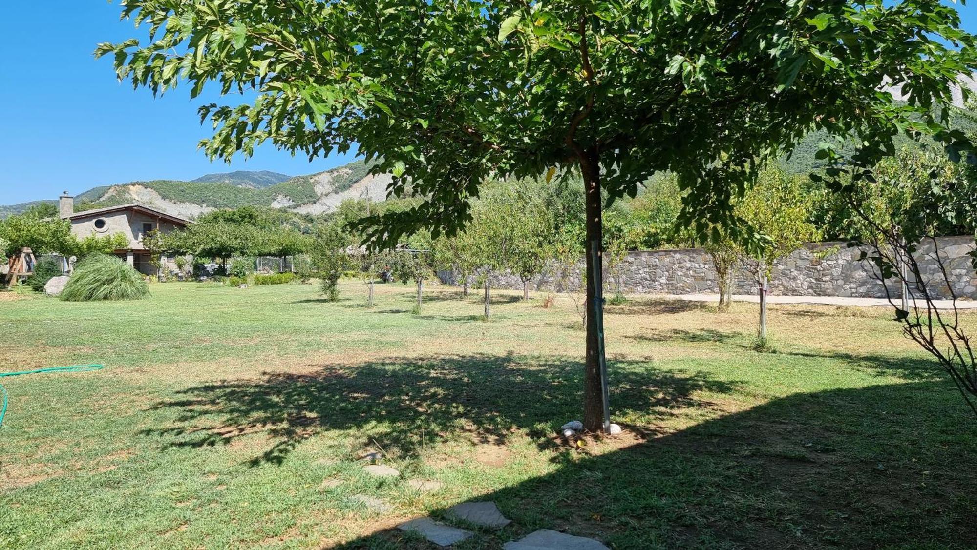 House With Big Garden And Barbeque In Nature Vourgareli 外观 照片
